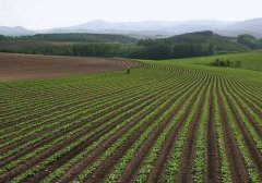 土壤養(yǎng)分速測(cè)儀促進(jìn)花草種植科學(xué)管理