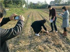 土壤成分檢測儀器與實驗室的土壤檢測怎么樣